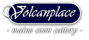 Логотип компании Volcanplace